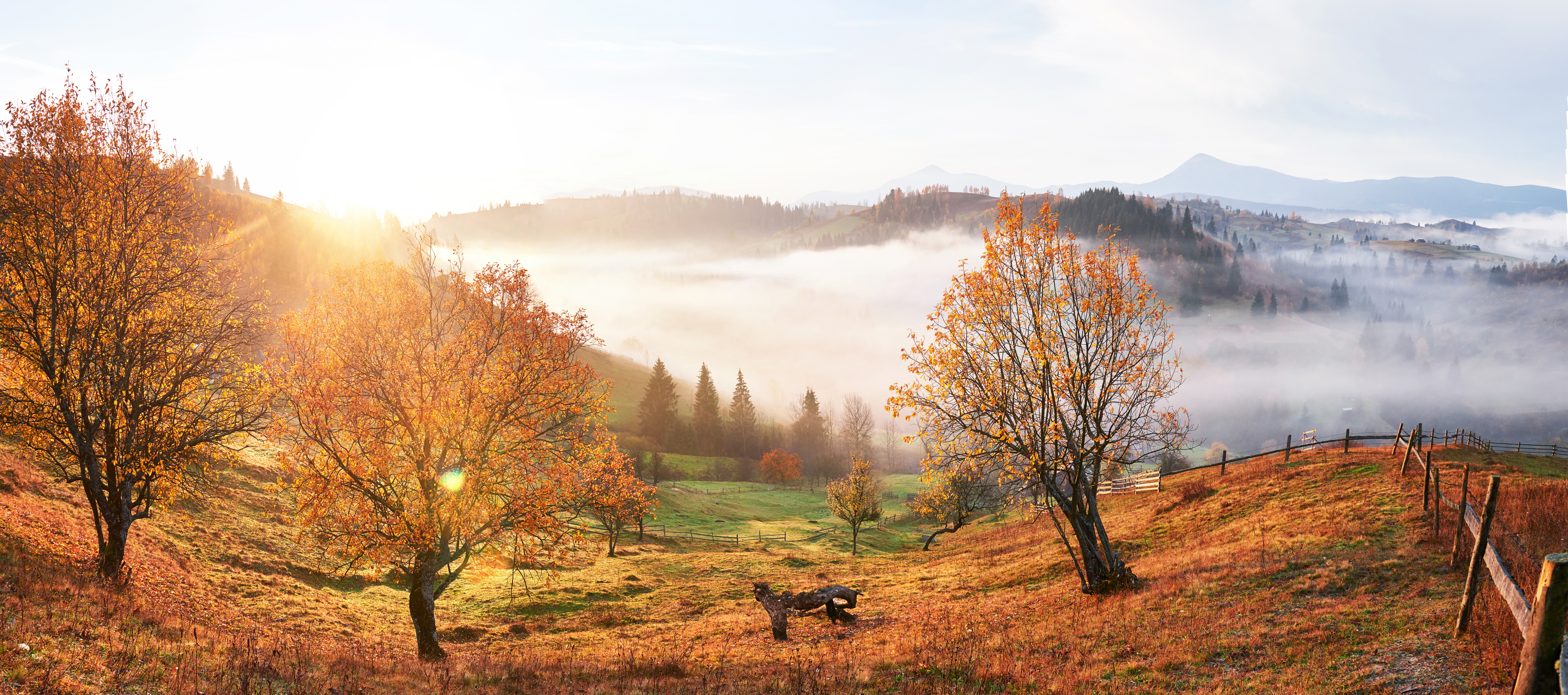 Turning Toward the Light: Celebrating the Autumnal Equinox Across Cultures
